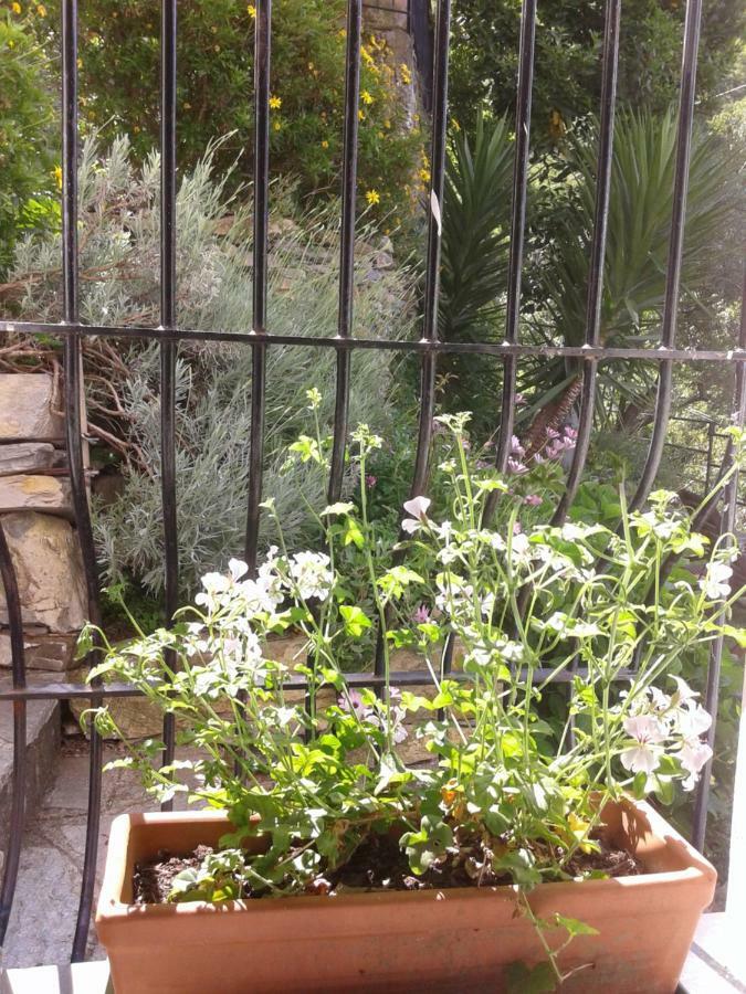 B&B I Glicini Vescina Exterior foto